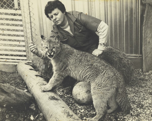 A sepia toned imaged showing a woman kneeling in an enclosure with a lion cub standing in front of her, both are facing the camera.