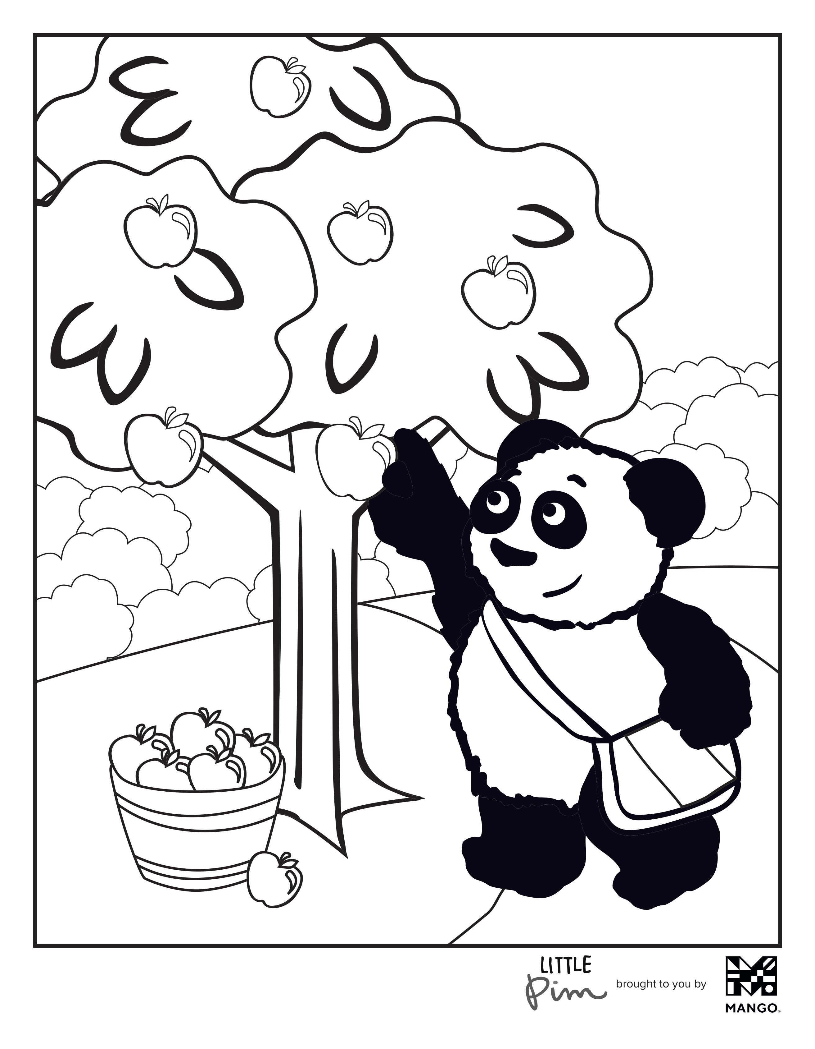 LittlePim Harvest 2020