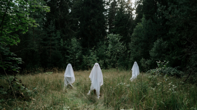 Untitled design (13)