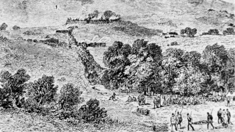 Untitled design (22)