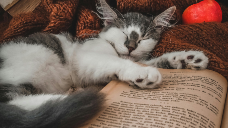 Untitled design (26)