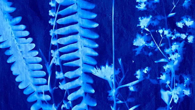 Botanical Cyanotype tile