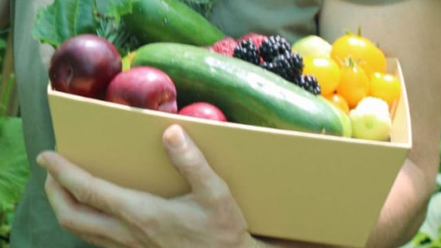 Growing with Nature tile