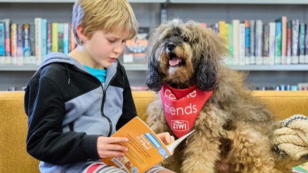 A green background with the wording Reading Buddies, next to a child reading a picture book next to an adult and a therapy dog.