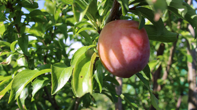 Sustainable Workshop tile