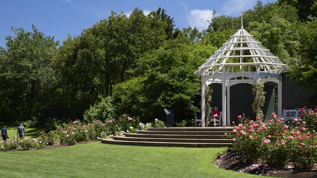 Treasure Hunt at Hillcrest Library