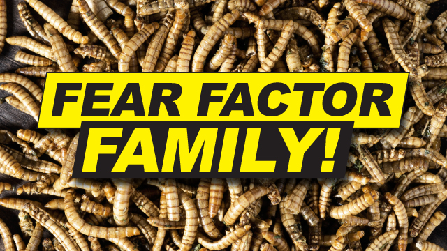 FearFactor
